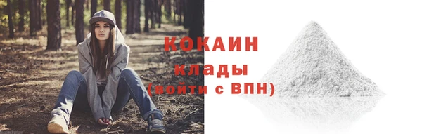 крисы Переславль-Залесский