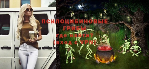 герыч Пестово