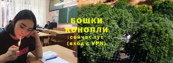 стаф Липки